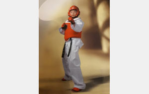 TAEKWONDO  LA RENTREE EST FAITE