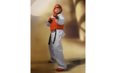 TAEKWONDO  LA RENTREE EST FAITE